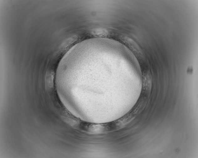 X0000090780717200708172128