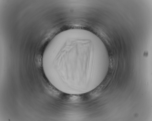 X0000090780718200708172128