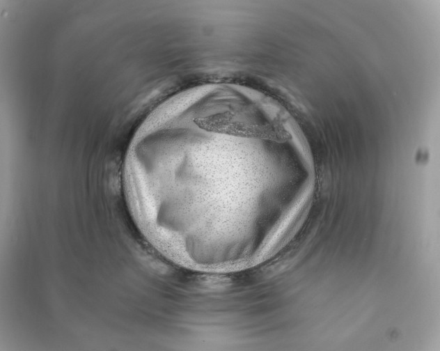 X0000090780719200708172128
