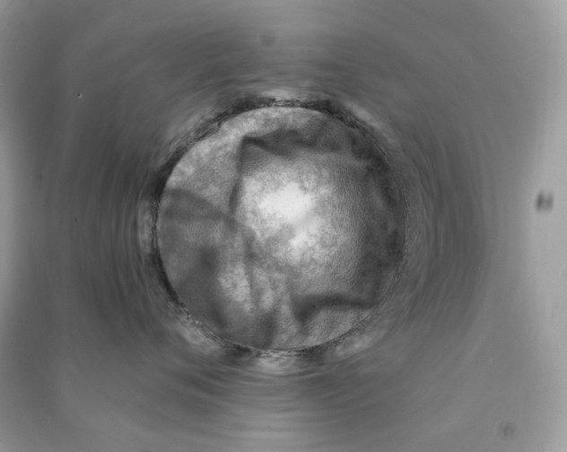 X0000090780720200708172128