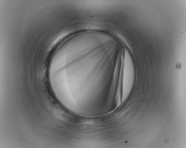 X0000090780723200708172127