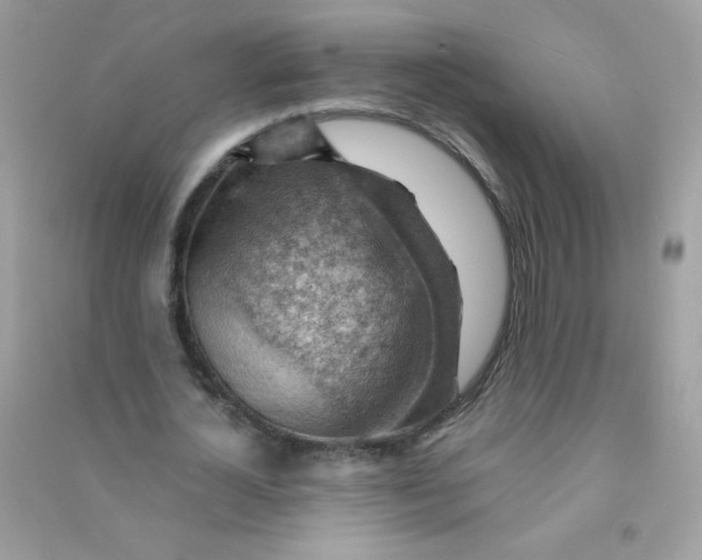 X0000090780724200708172127