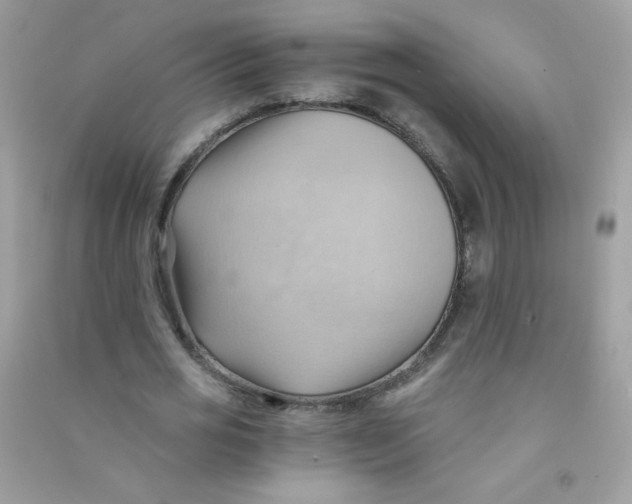 X0000090780725200708172127