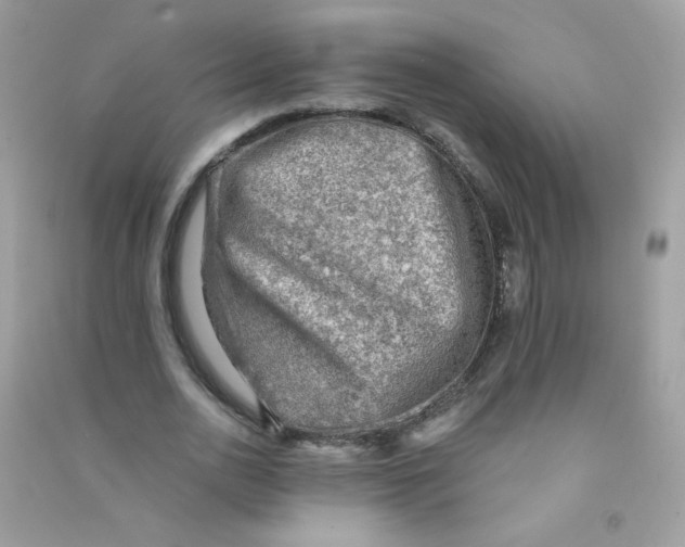 X0000090780726200708172127