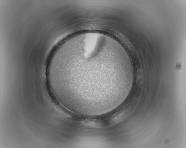 X0000090780727200708172127