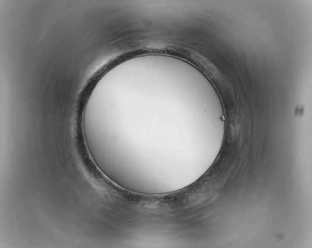 X0000090780728200708172127