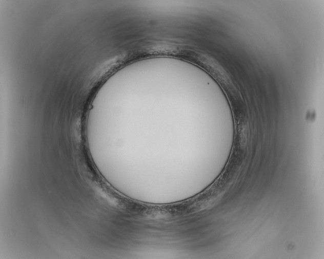 X0000090780729200708172127
