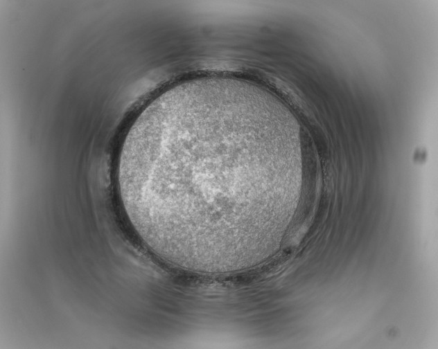 X0000090780731200708172127