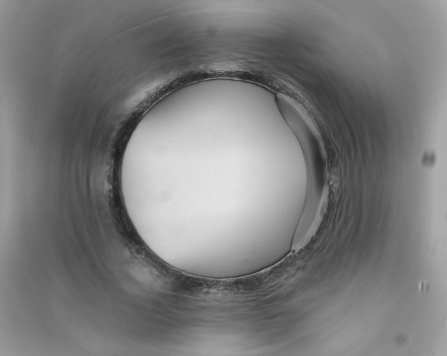 X0000090780732200708172127