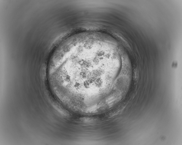 X0000090780733200708172127