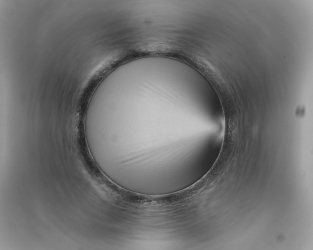 X0000090780735200708172127