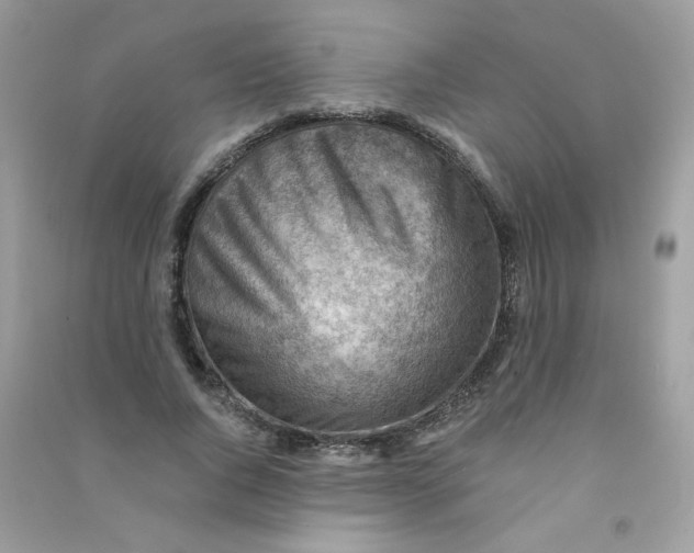 X0000090780736200708172127