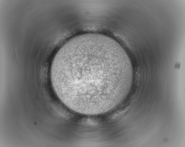 X0000090780739200708172127