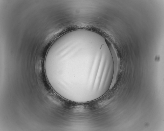 X0000090780740200708172127