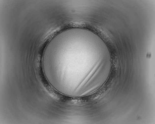 X0000090780744200708172127