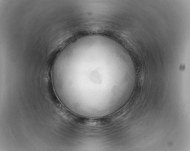 X0000090780746200708172127