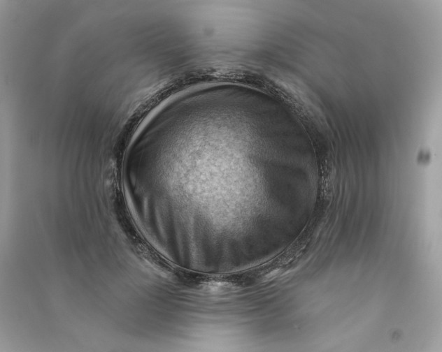 X0000090780748200708172127