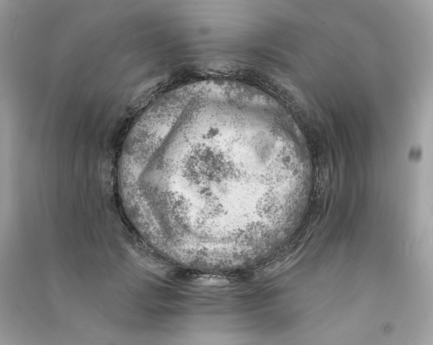 X0000090780749200708172127