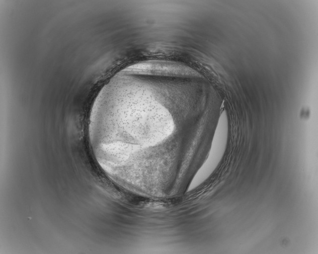 X0000090780751200708172127