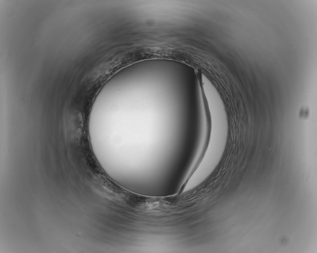 X0000090780752200708172127