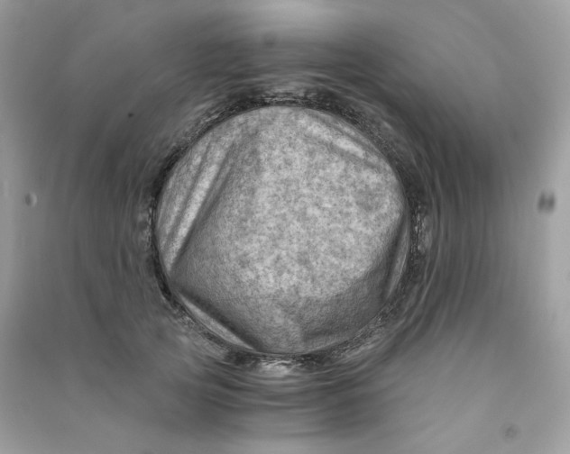 X0000090780753200708172128