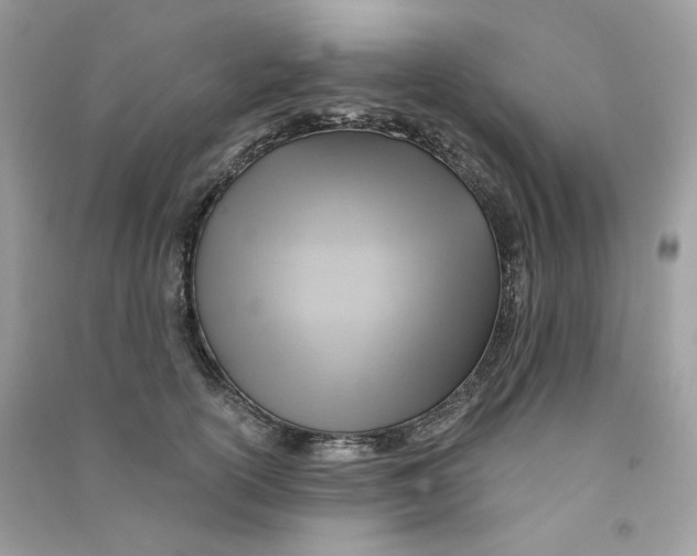 X0000090780754200708172128