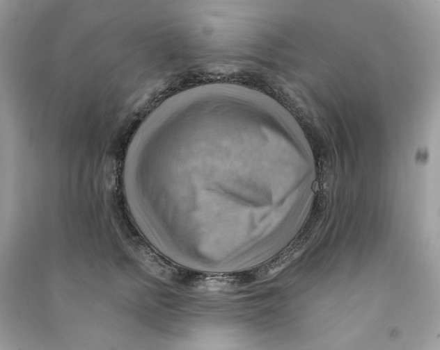 X0000090780758200708172128