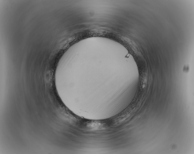 X0000090780759200708172128