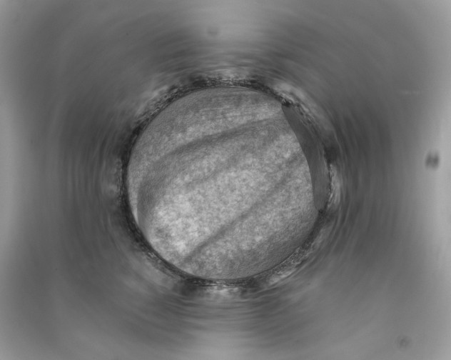 X0000090780760200708172128