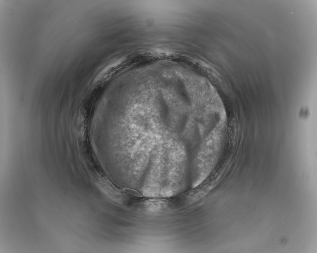 X0000090780762200708172128