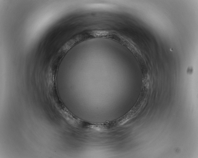 X0000090780763200708172128
