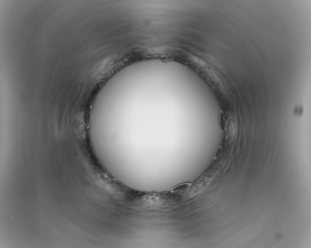 X0000090780764200708172128