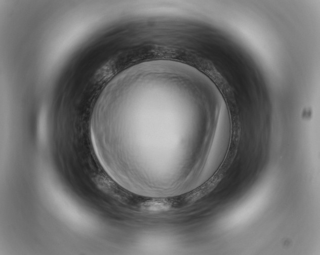 X0000090780765200708172128