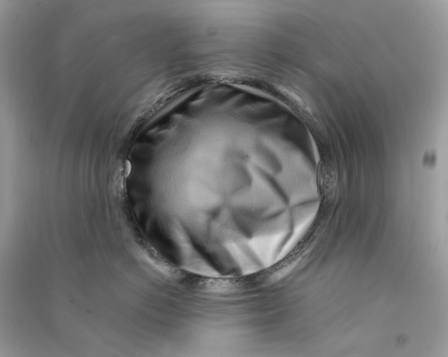X0000090780766200708172128