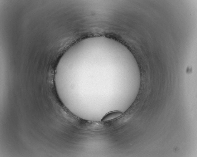 X0000090780768200708172128