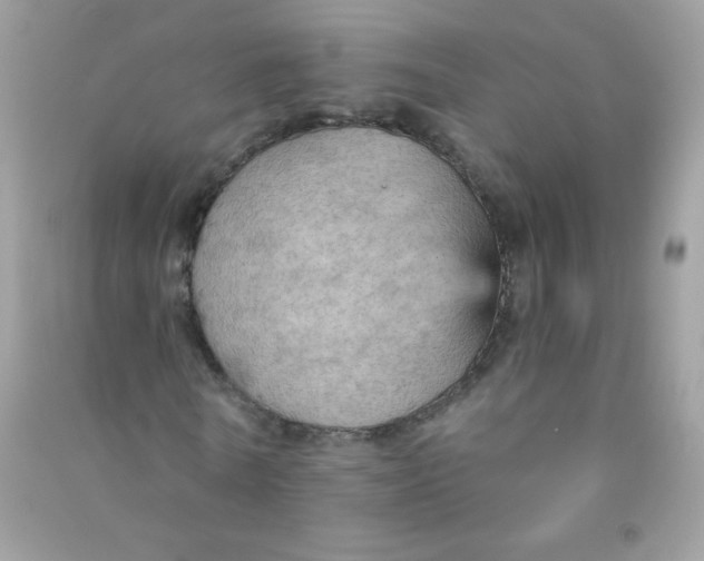 X0000090780770200708172127