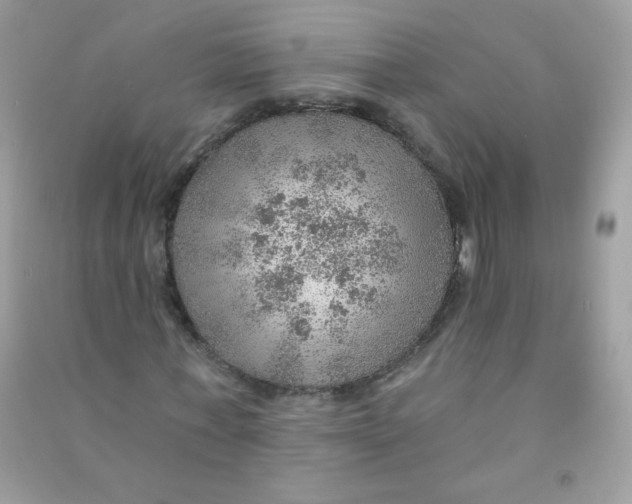 X0000090780771200708172127