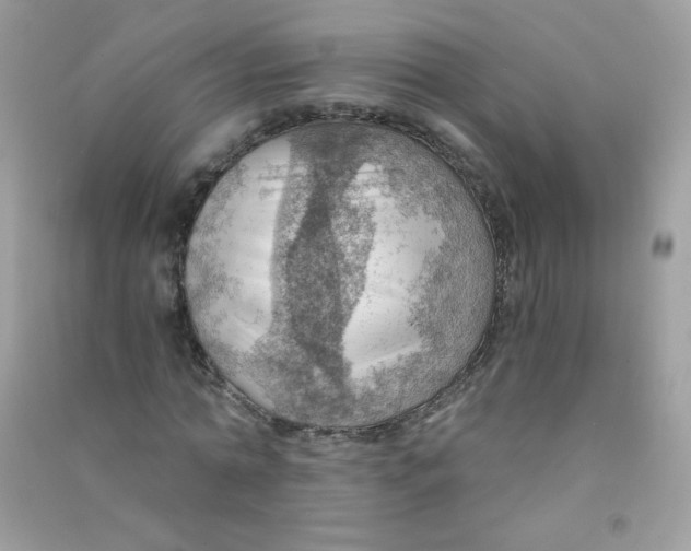 X0000090780774200708172127