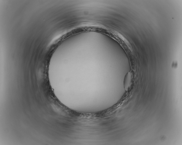 X0000090780775200708172127