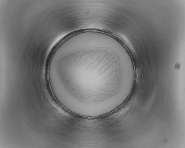 X0000090780780200708172127
