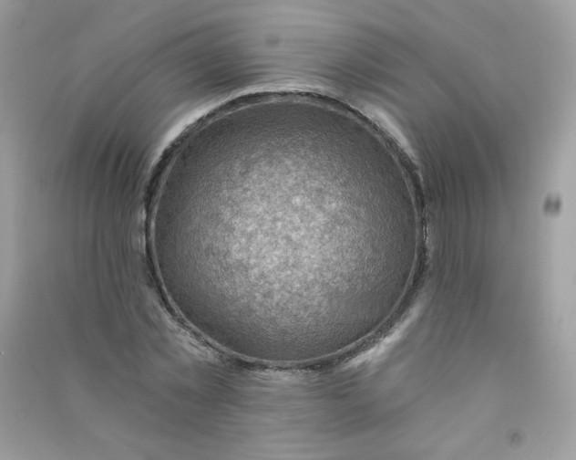 X0000090780781200708172127