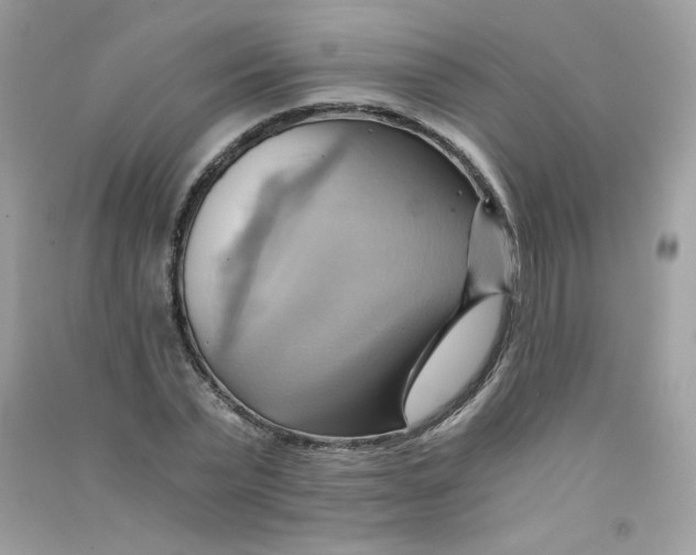 X0000090780783200708172127