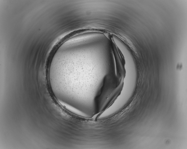 X0000090780784200708172127