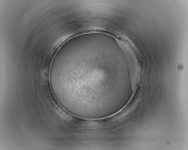 X0000090780785200708172127