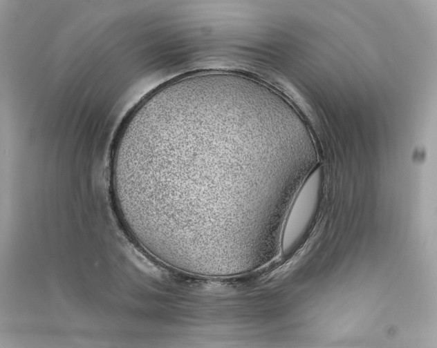 X0000090780787200708172127