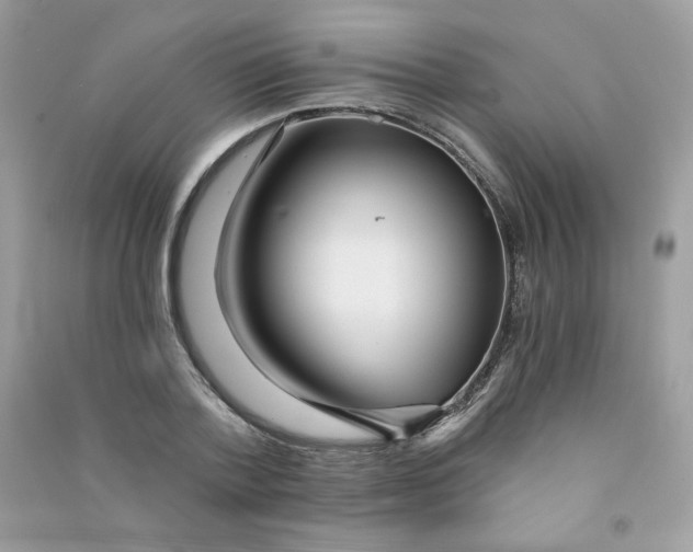 X0000090780788200708172127