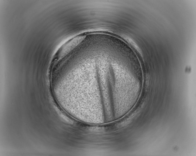 X0000090780789200708172127