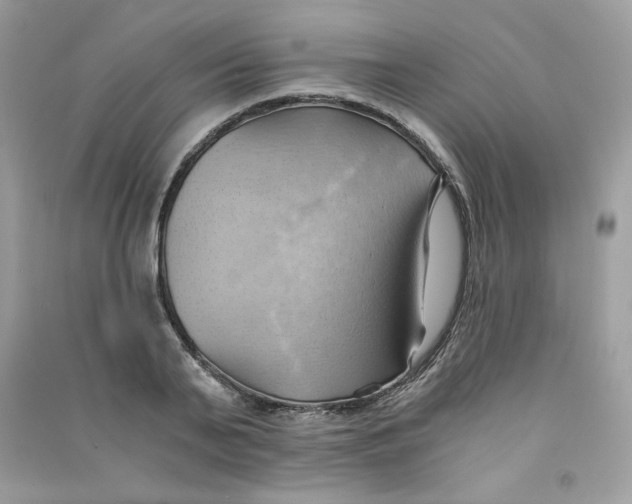 X0000090780791200708172127