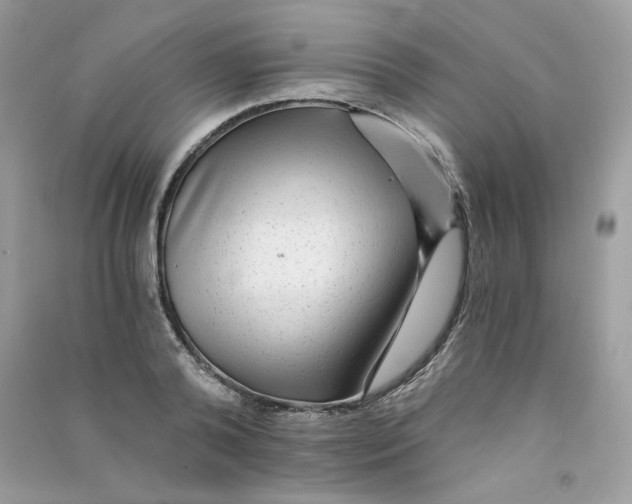 X0000090780792200708172127