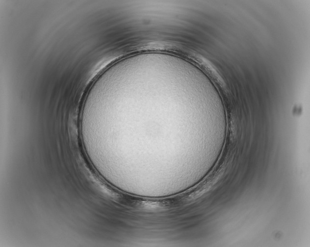 X0000090780794200708172127